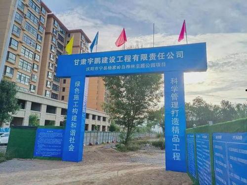 庆阳爆料最新消息,最新事件追踪，揭秘背后真相  第2张