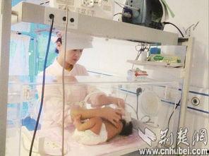 胖妈出租屋爆料视频,揭秘真实租房生活背后的故事  第2张